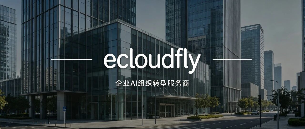 云飞扬：华南领先的 AI 组织转型服务商